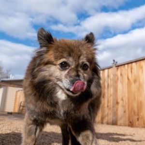 Meet your Posher, Matt